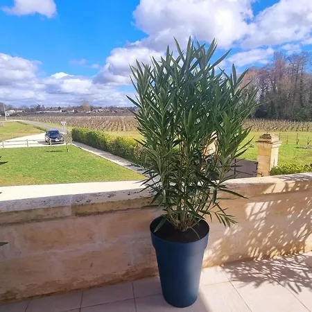 Appartement La Maison Des Vignes Saint Emilion Extérieur photo