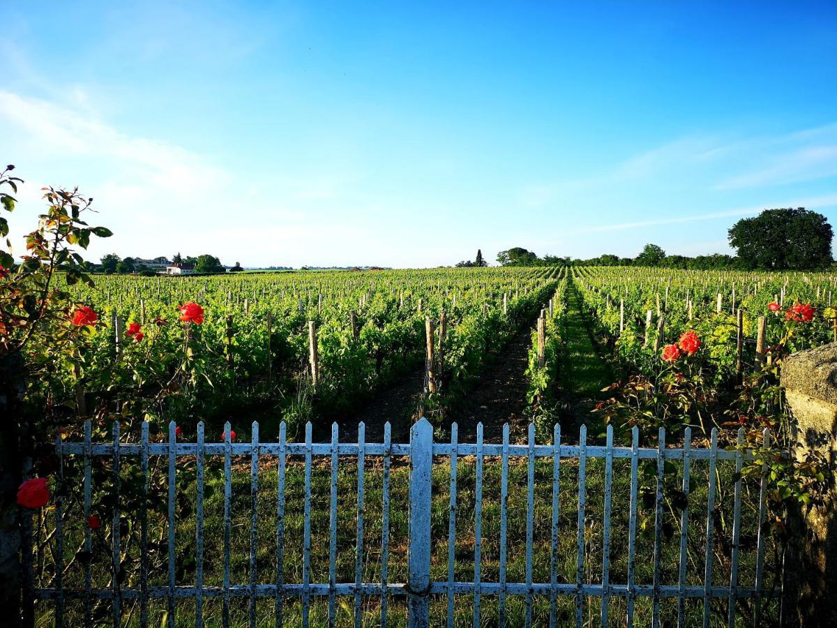 La Maison Des Vignes Emilion Saint-Émilion